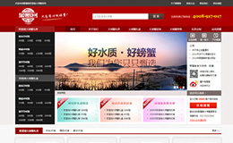 зꖳκlзپW(wng)O(sh)Ӌ