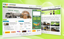 美國(guó)越洋快運(yùn)公司網(wǎng)站設(shè)計(jì)案例